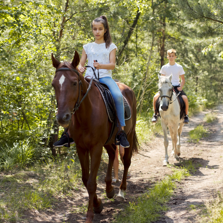 activities in Pelion cover