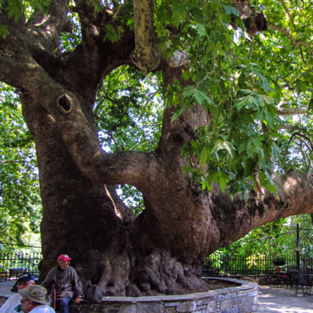 traditional villages in Pelion Tsagarada